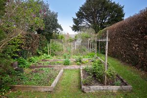 Garden (2)- click for photo gallery